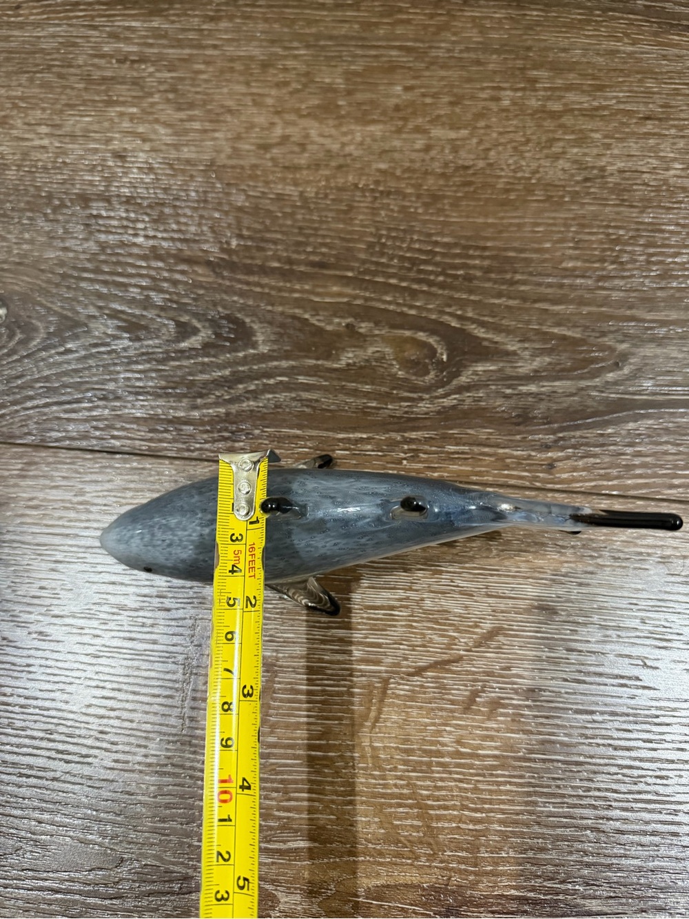 Dynasty gallery shark glass - Picture 7 of 10
